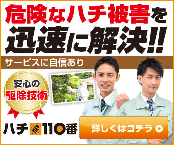 ハチ110番